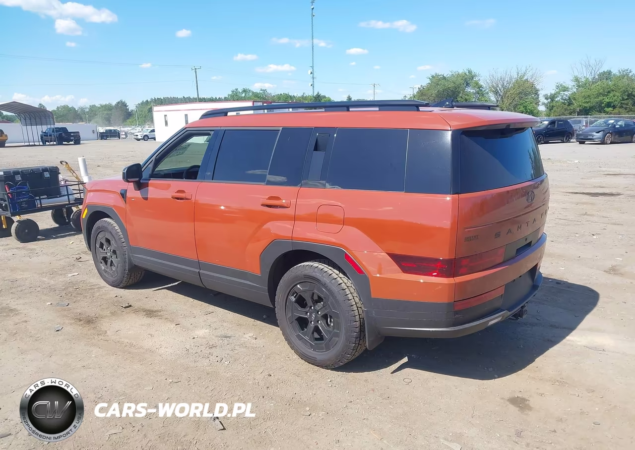 2025 Hyundai Santa Fe Xrt VIN:5NMP3DGL6SH120594 - 3
