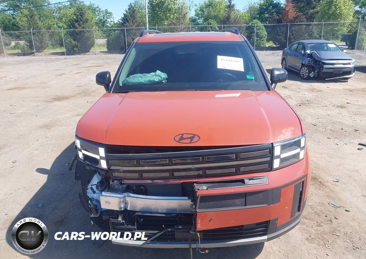 2025 Hyundai Santa Fe Xrt VIN:5NMP3DGL6SH120594 - 6