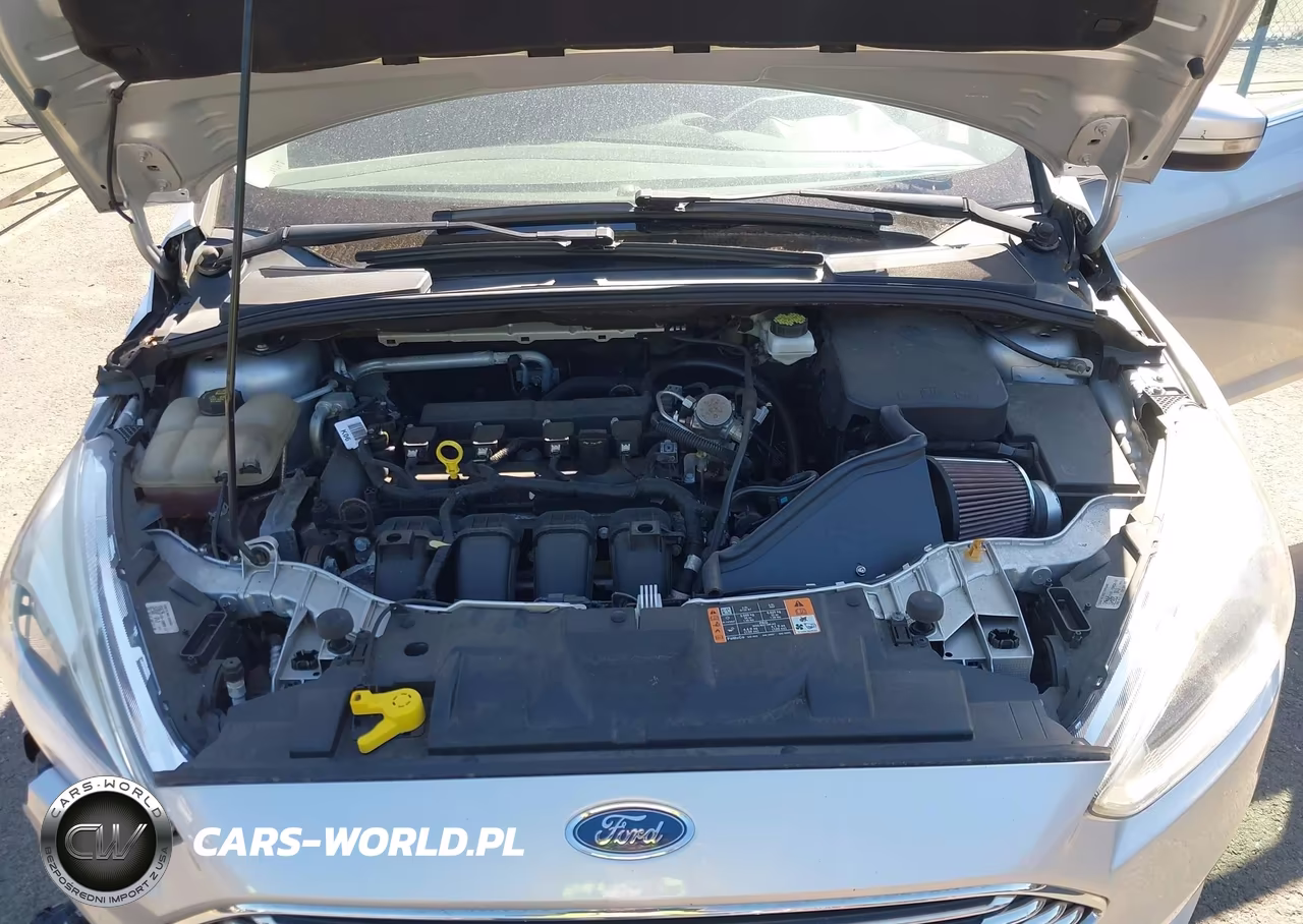 2017 Ford Focus Titanium VIN:1FADP3N29HL333726 - 10
