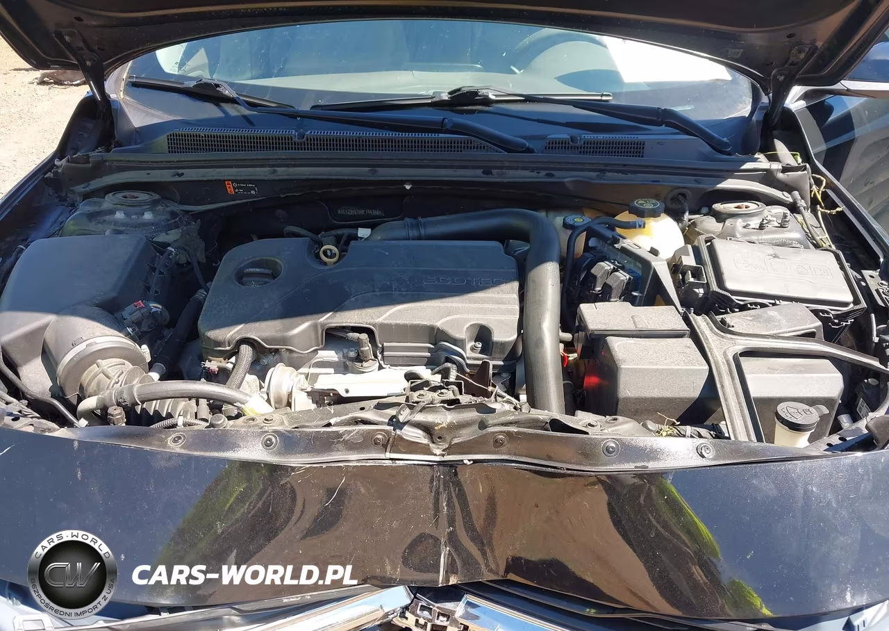 2019 Chevrolet Malibu Lt VIN:1G1ZD5ST5KF194758 - 10