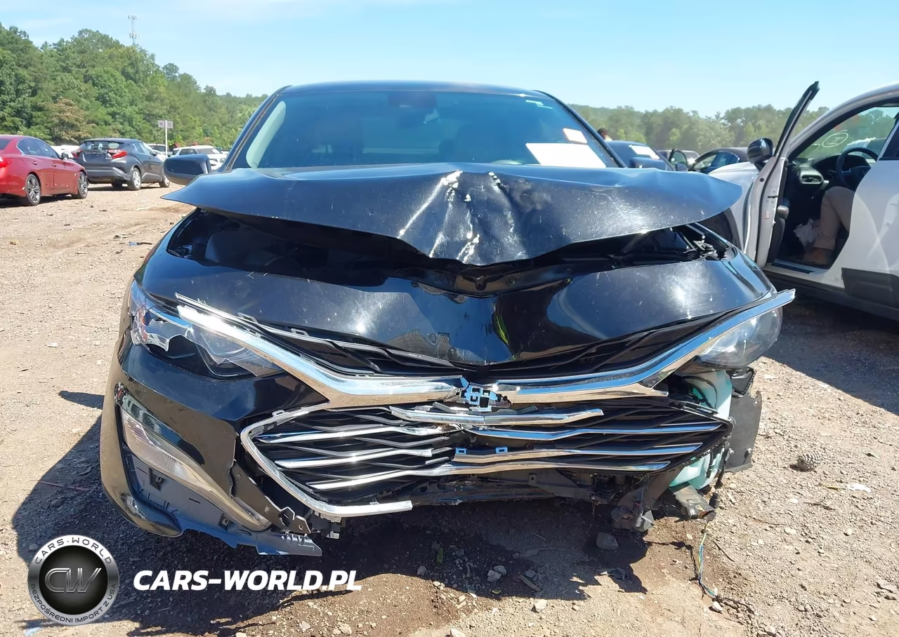 2019 Chevrolet Malibu Lt VIN:1G1ZD5ST5KF194758 - 13