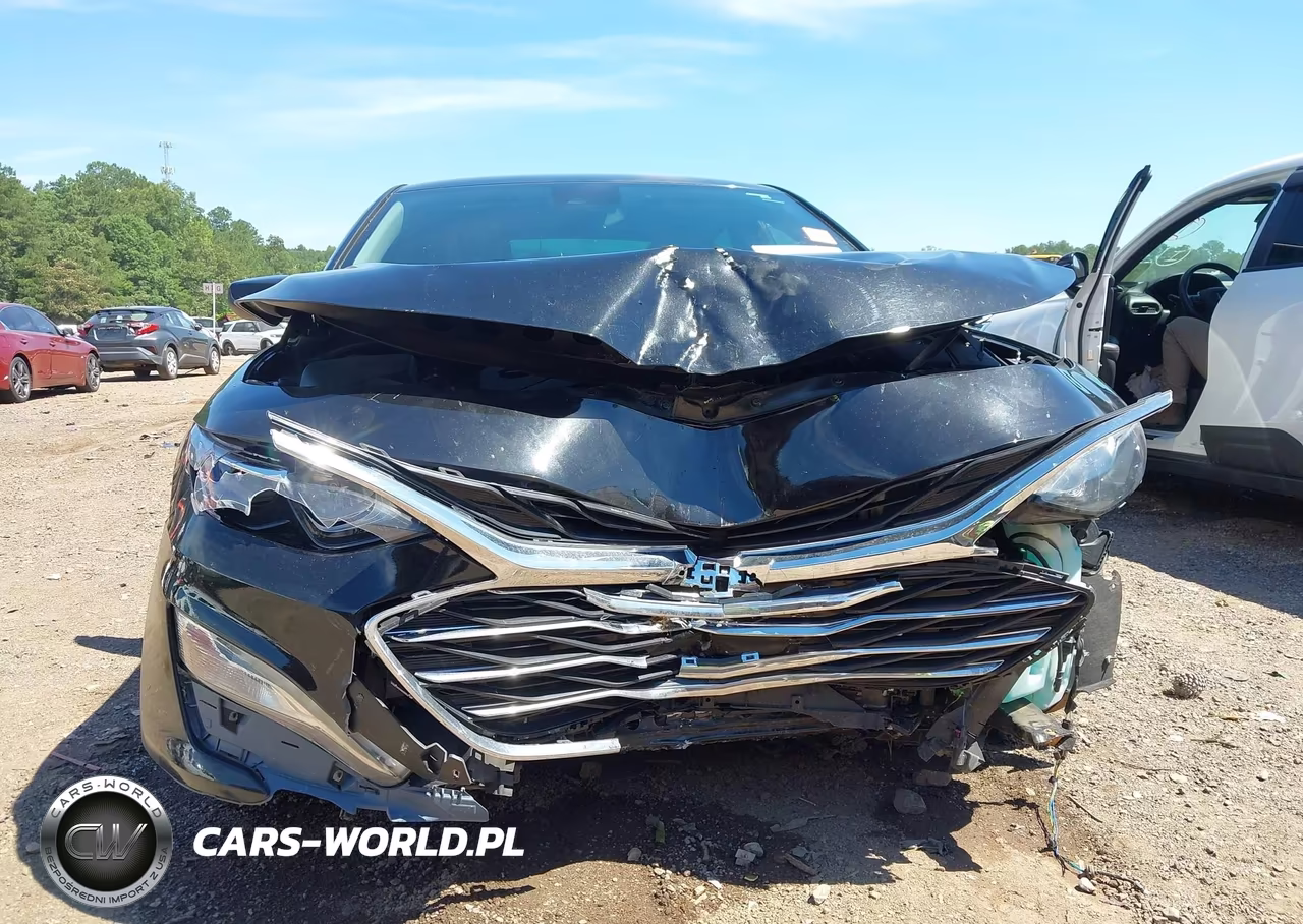 2019 Chevrolet Malibu Lt VIN:1G1ZD5ST5KF194758 - 6