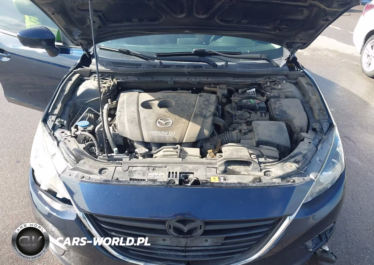 2014 Mazda Mazda3 I Sport VIN:JM1BM1U73E1211897 - 10