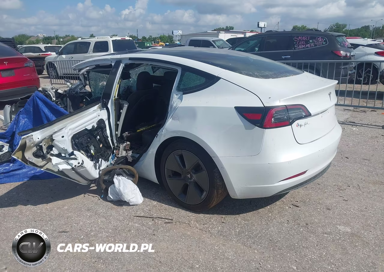 2022 Tesla Model 3 Long Range Dual Motor All-Wheel Drive VIN:5YJ3E1EB0NF341082 - 3