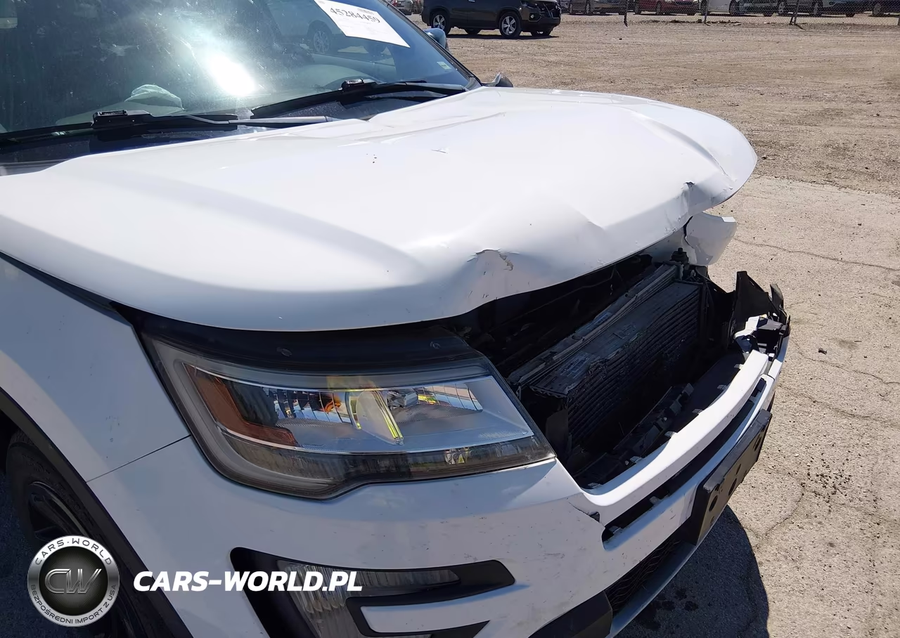 2016 Ford Explorer Xlt VIN:1FM5K7DH2GGC71549 - 18
