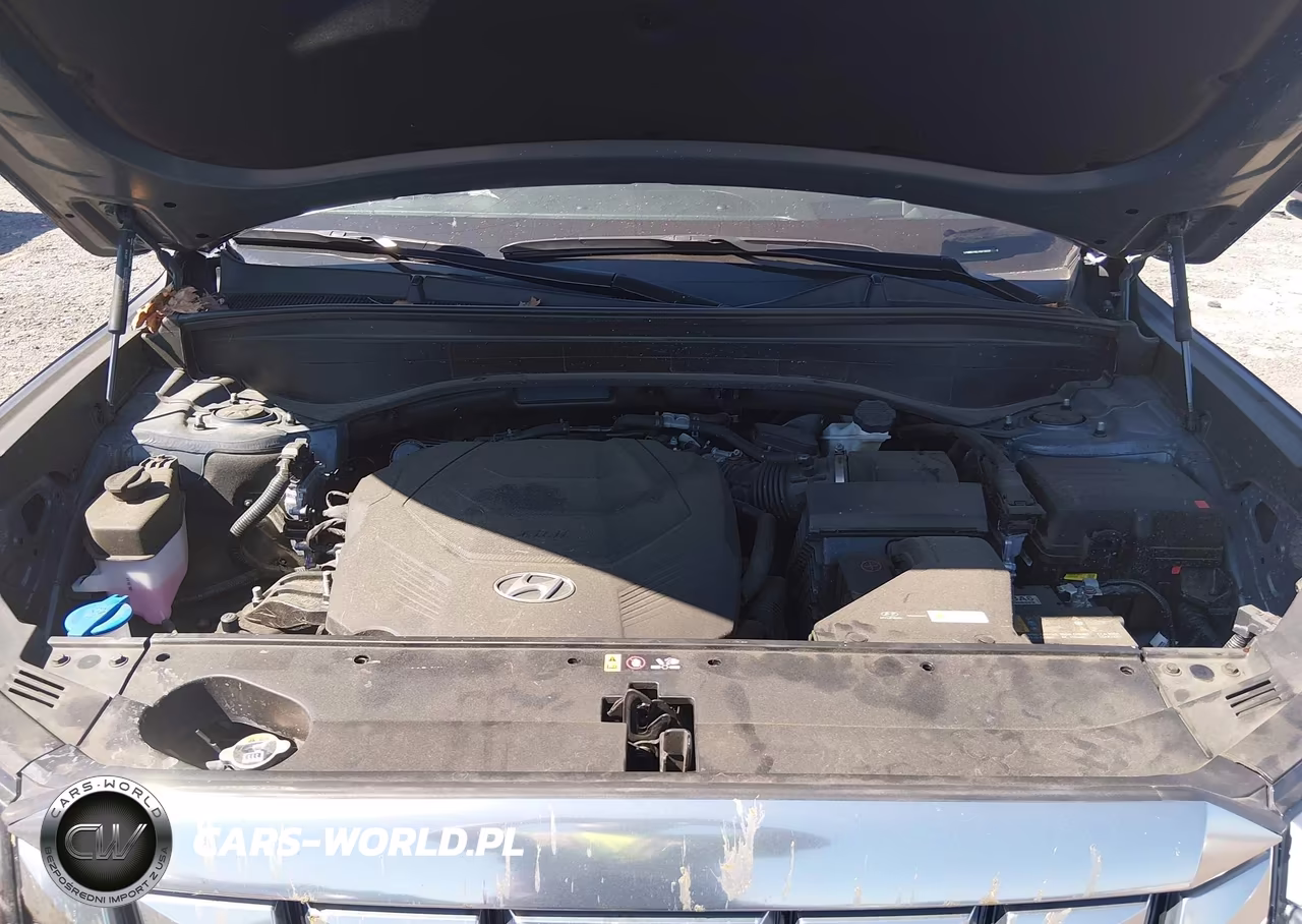 2024 Hyundai Palisade Calligraphy VIN:KM8R74GE7RU750959 - 10