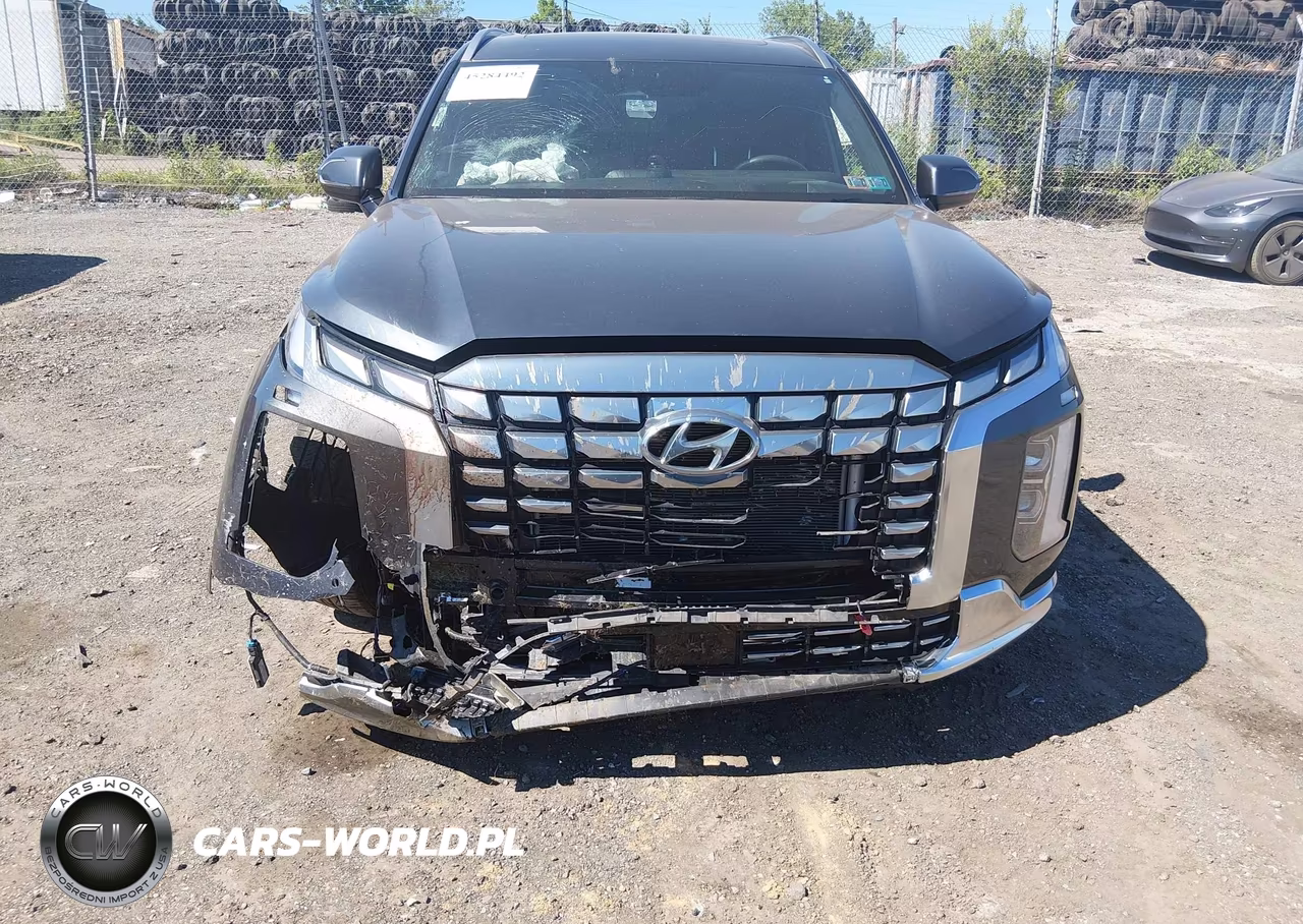 2024 Hyundai Palisade Calligraphy VIN:KM8R74GE7RU750959 - 6