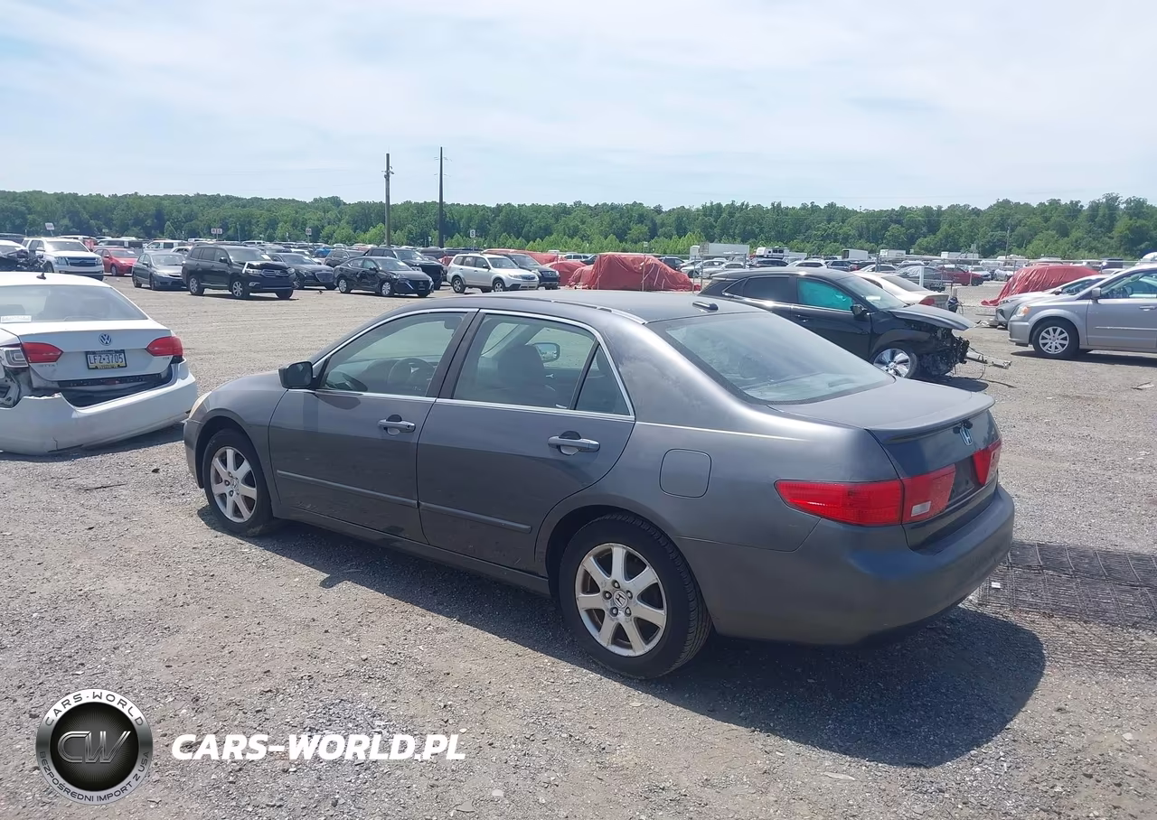 2005 Honda Accord 3.0 Ex VIN:1HGCM66895A037018 - 3
