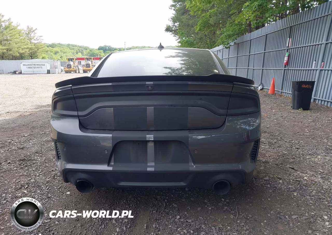 2020 Dodge Charger Scat Pack Widebody Rwd VIN:2C3CDXGJXLH194131 - 16