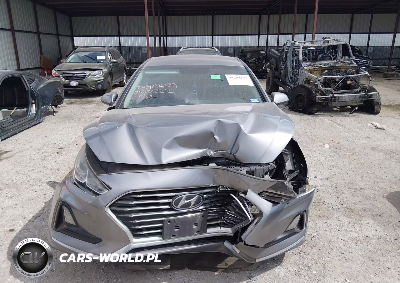 2019 Hyundai Sonata Se VIN:5NPE24AF8KH770222 - 12