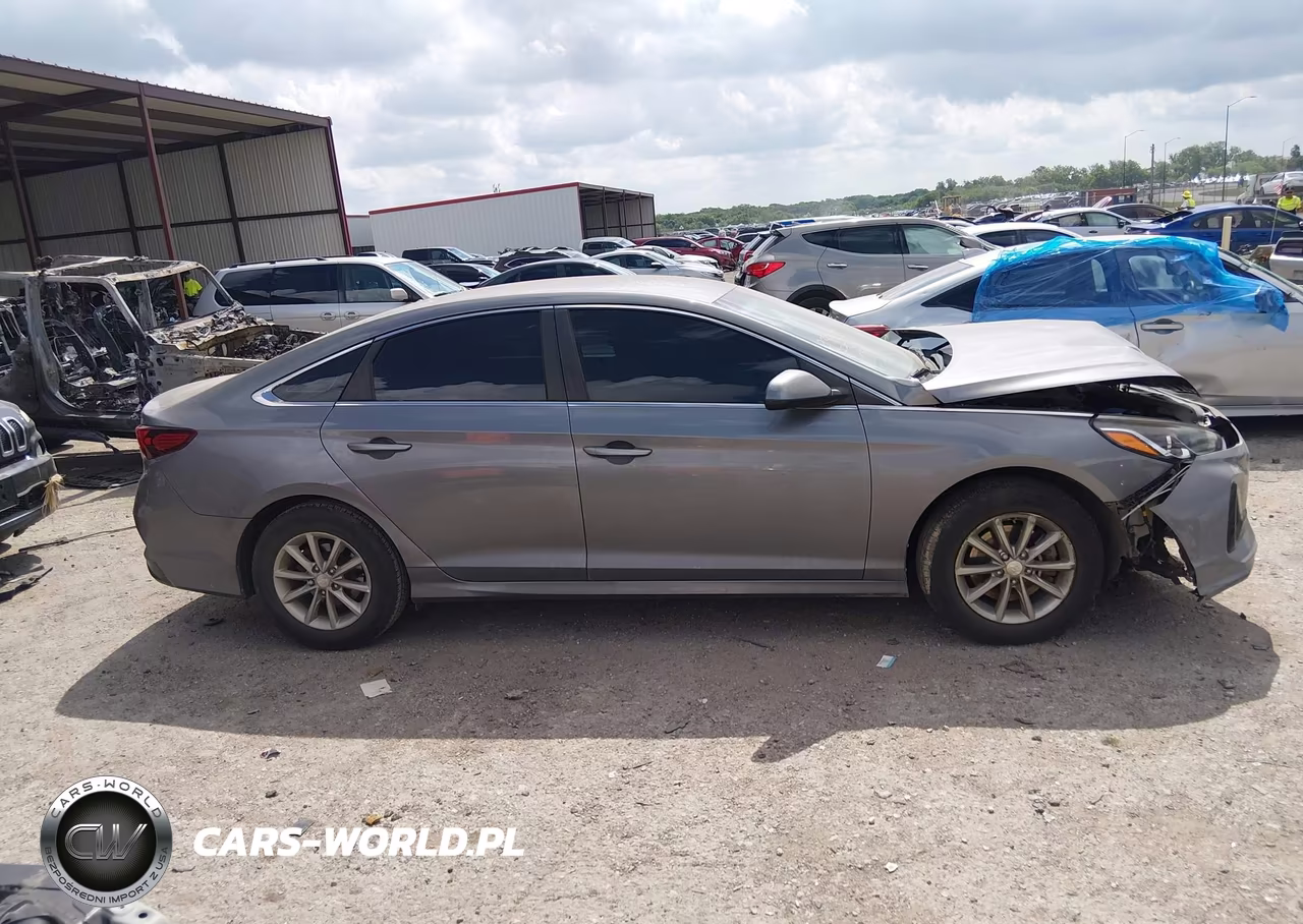 2019 Hyundai Sonata Se VIN:5NPE24AF8KH770222 - 13