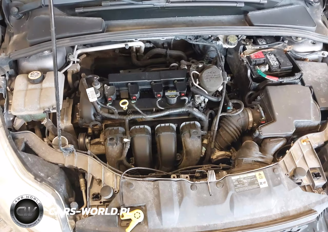 2013 Ford Focus Se VIN:1FADP3F24DL261343 - 10