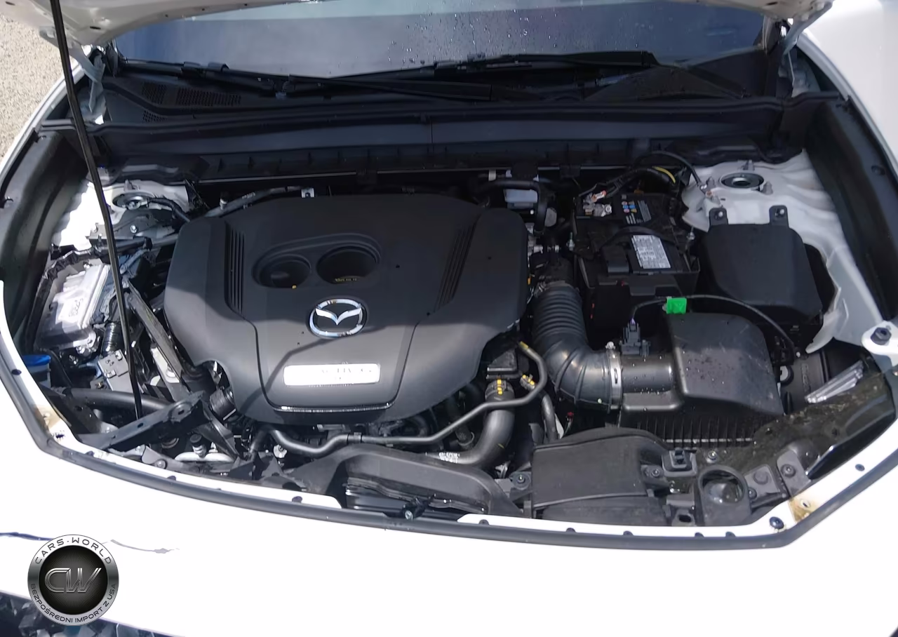 2026 Mazda Cx-30 2.5 Turbo Premium Plus VIN:3MVDMBEY6TM143597 - 10
