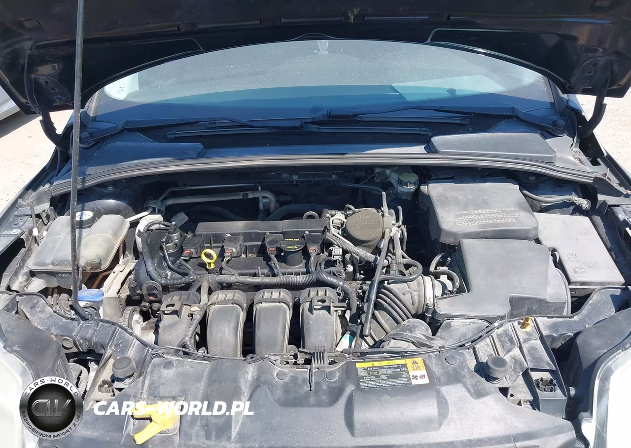2013 Ford Focus Se VIN:1FADP3K20DL146048 - 10