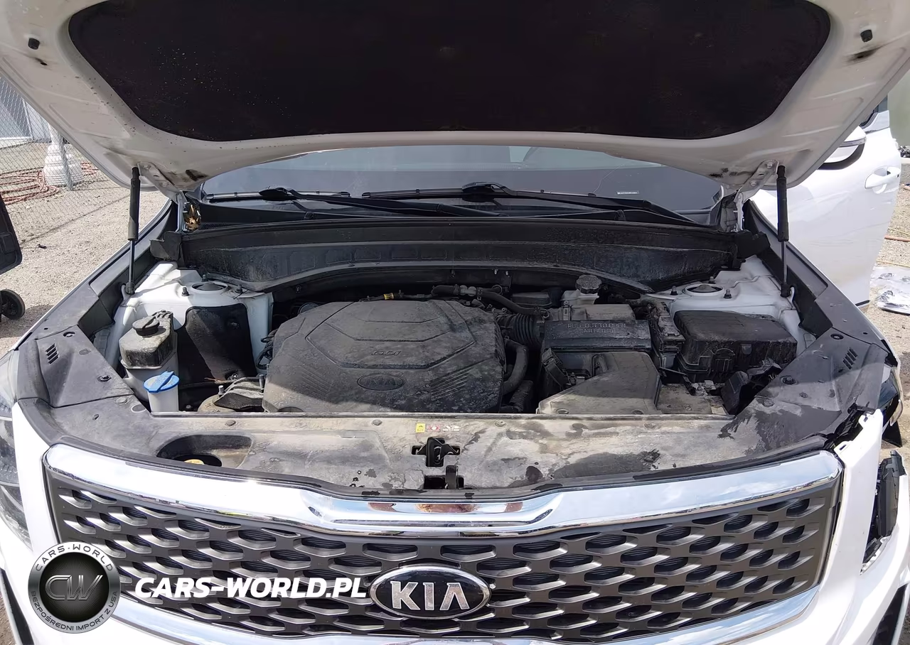 2021 Kia Telluride Lx VIN:5XYP2DHC4MG183854 - 10