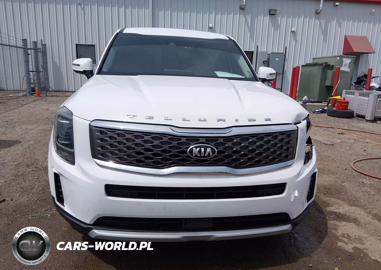 2021 Kia Telluride Lx VIN:5XYP2DHC4MG183854 - 12