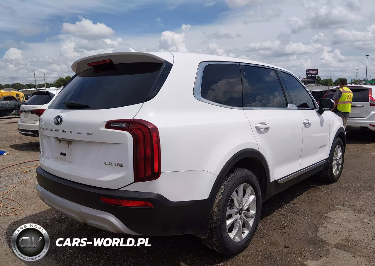 2021 Kia Telluride Lx VIN:5XYP2DHC4MG183854 - 4