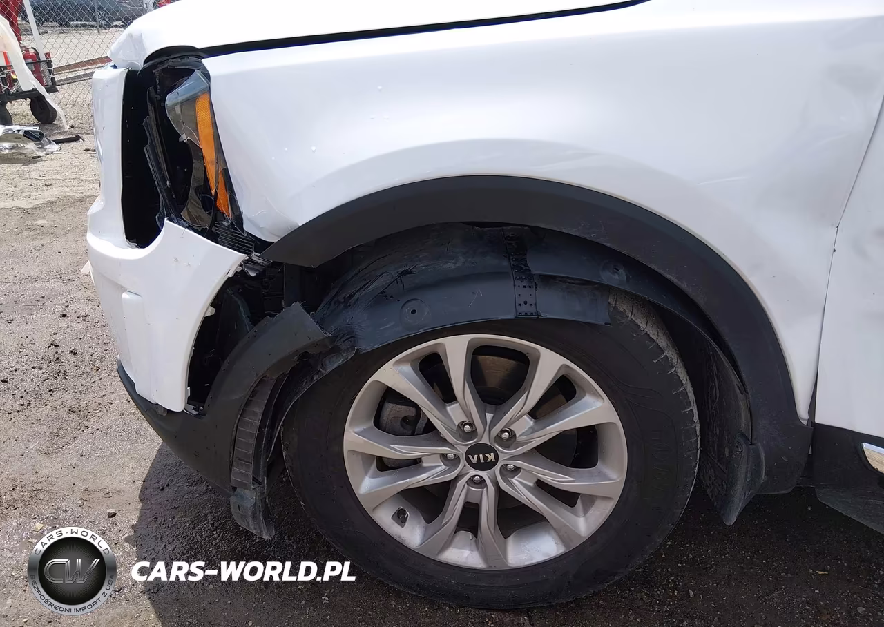 2021 Kia Telluride Lx VIN:5XYP2DHC4MG183854 - 6