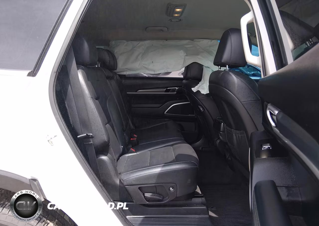 2021 Kia Telluride Lx VIN:5XYP2DHC4MG183854 - 8