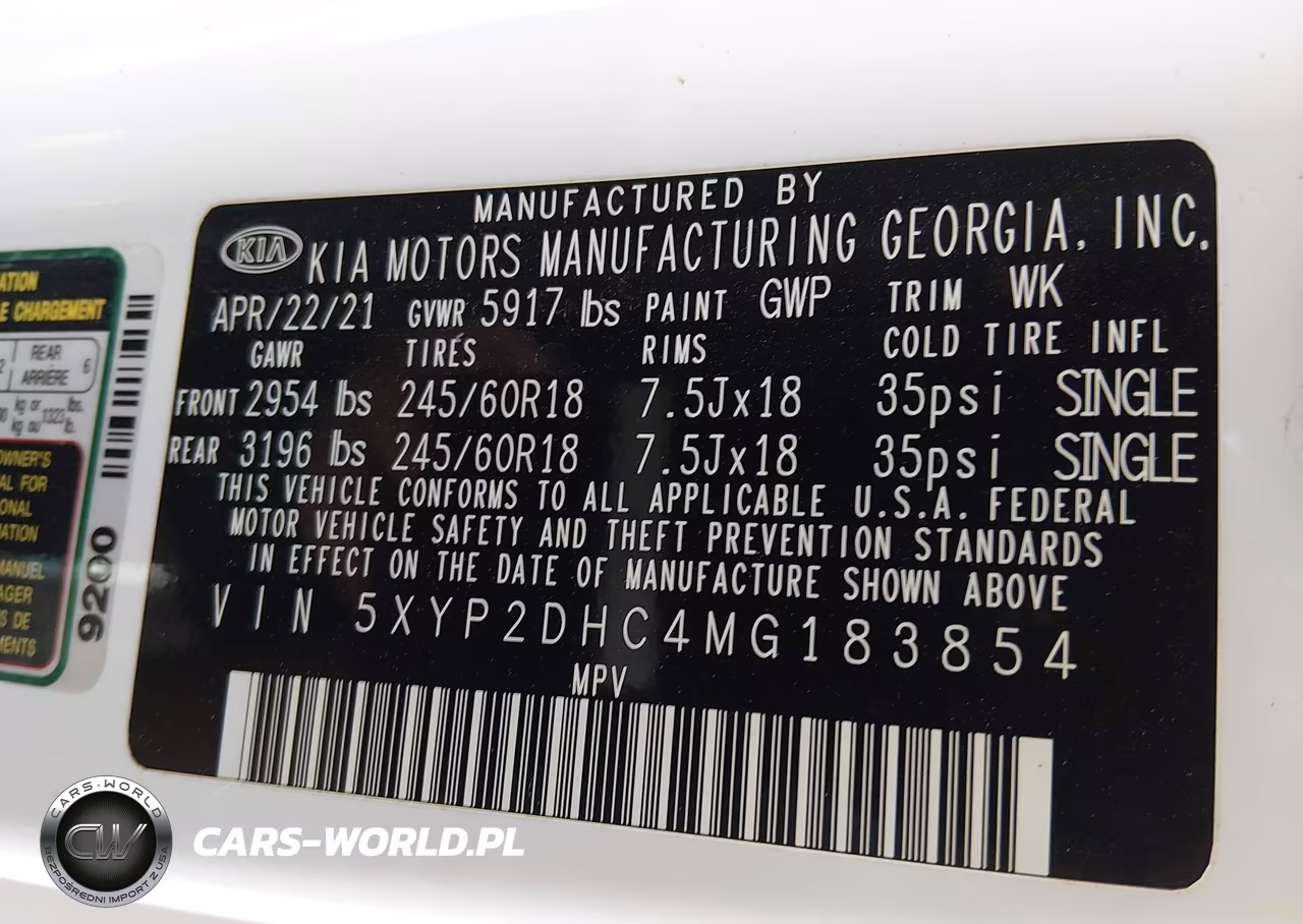 2021 Kia Telluride Lx VIN:5XYP2DHC4MG183854 - 9