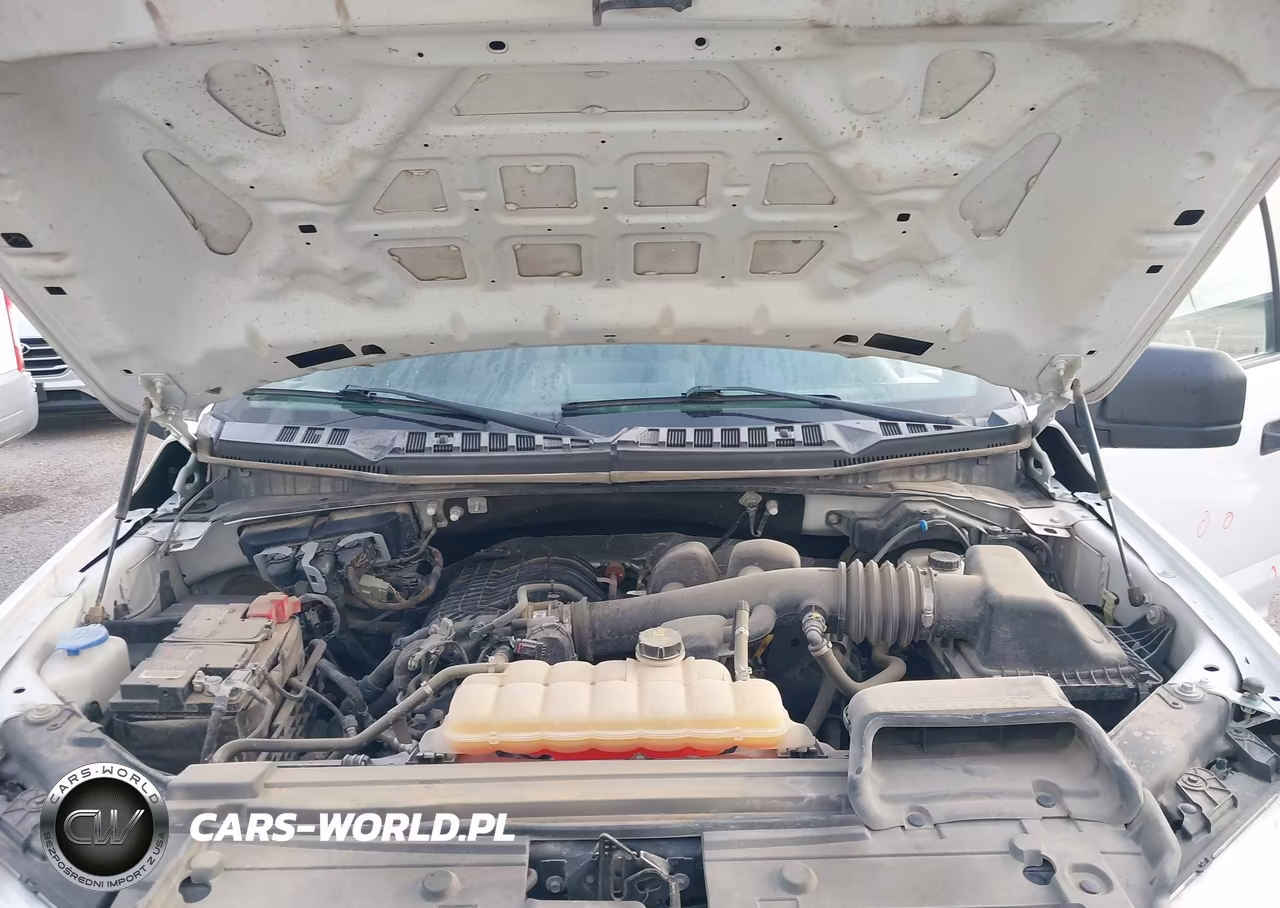 2019 Ford F-150 Xl VIN:1FTEW1EB7KKC24832 - 10