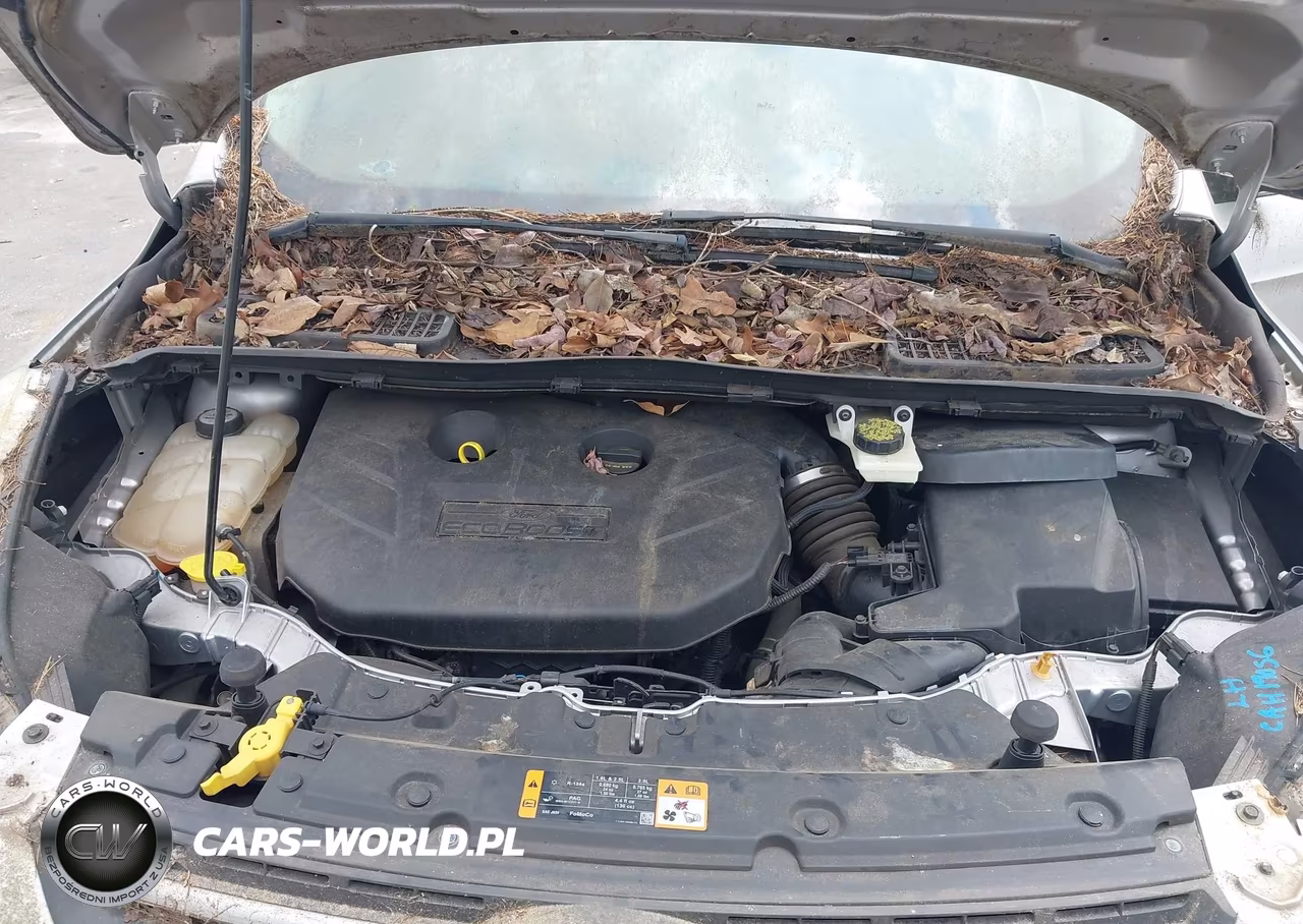 2013 Ford Escape Se VIN:1FMCU0G92DUC98874 - 10