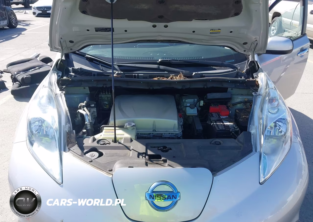 2017 Nissan Leaf Sv VIN:1N4BZ0CP3HC301661 - 10
