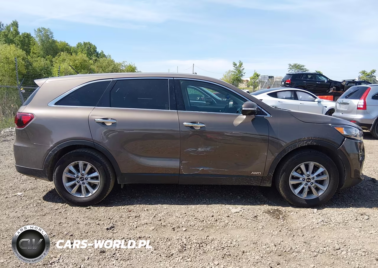 2020 Kia Sorento 2.4L Lx VIN:5XYPGDA31LG646222 - 13