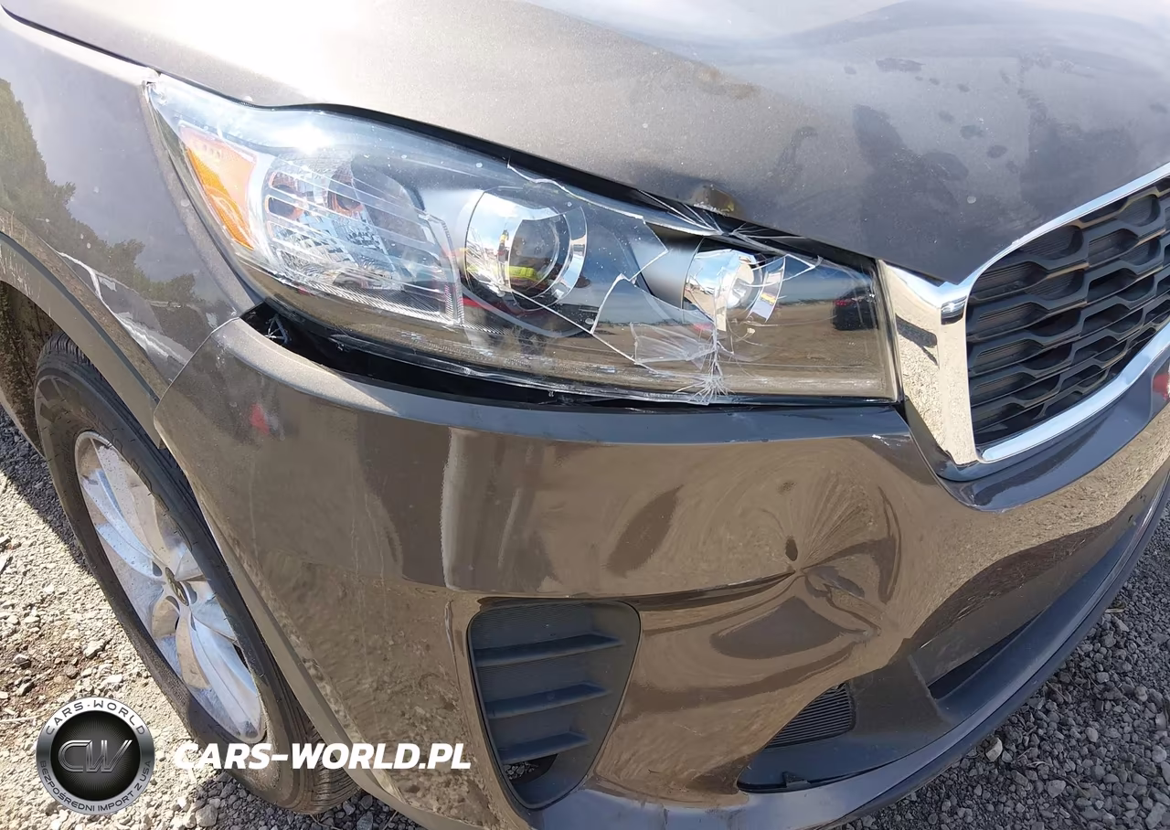 2020 Kia Sorento 2.4L Lx VIN:5XYPGDA31LG646222 - 17