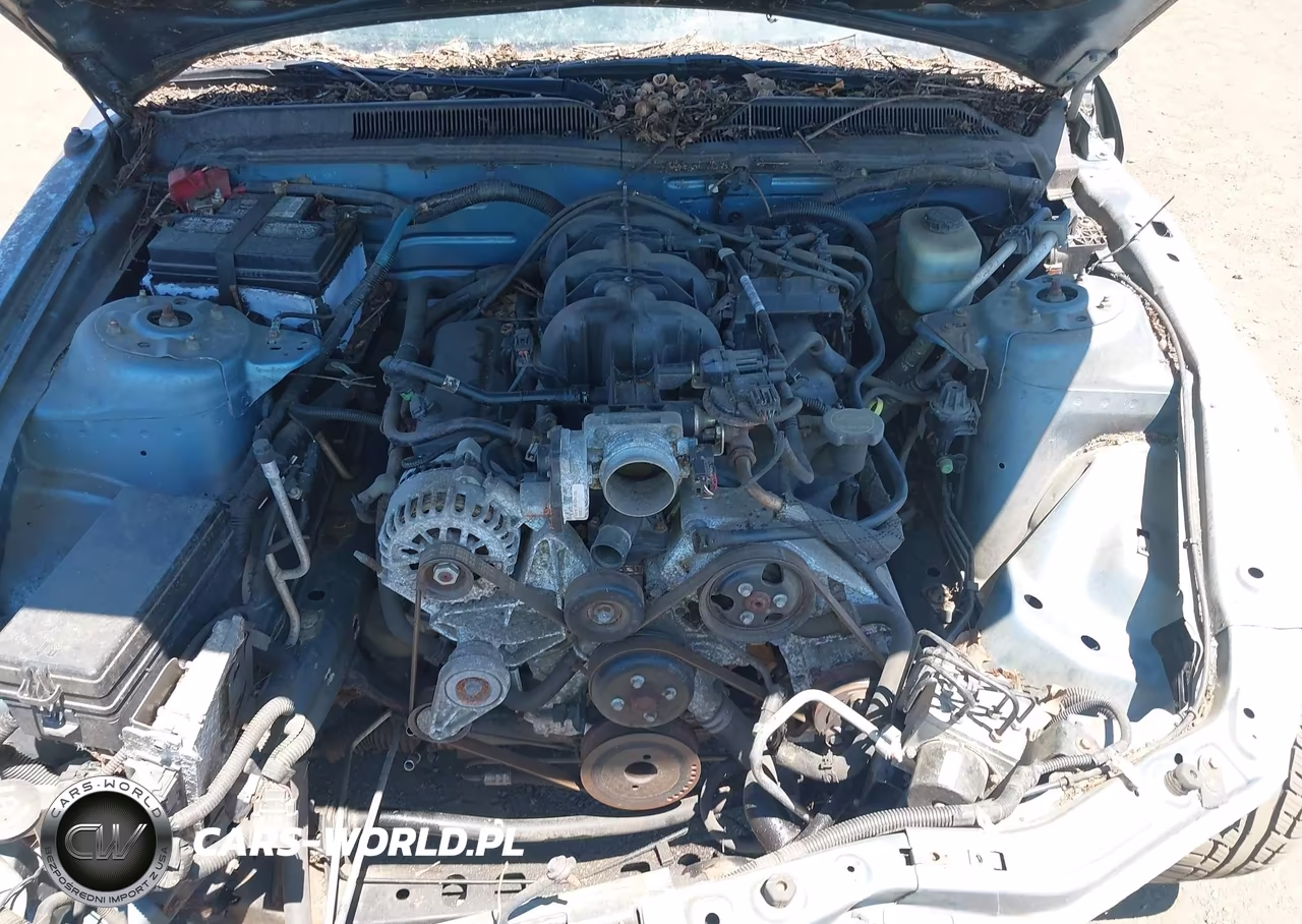 2006 Ford Mustang V6 VIN:1ZVHT80N265149166 - 10