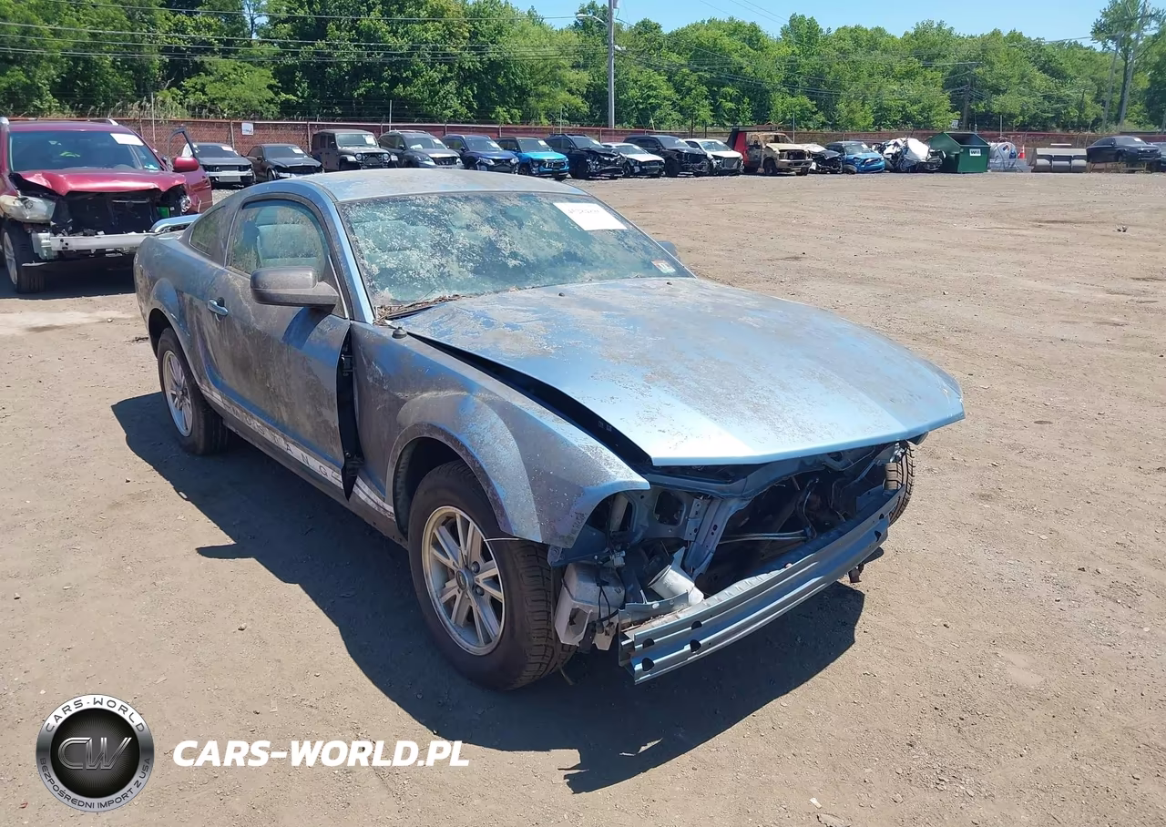 2006 Ford Mustang V6 VIN:1ZVHT80N265149166 - 12