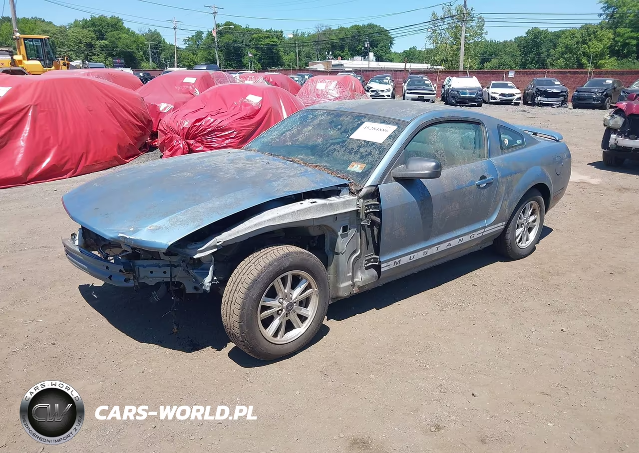 2006 Ford Mustang V6 VIN:1ZVHT80N265149166 - 2
