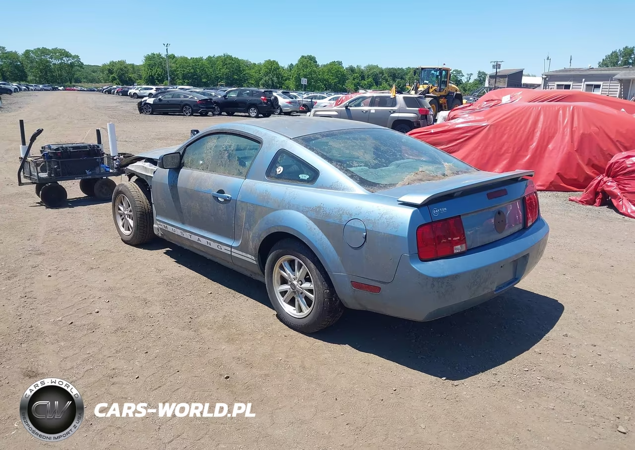 2006 Ford Mustang V6 VIN:1ZVHT80N265149166 - 3