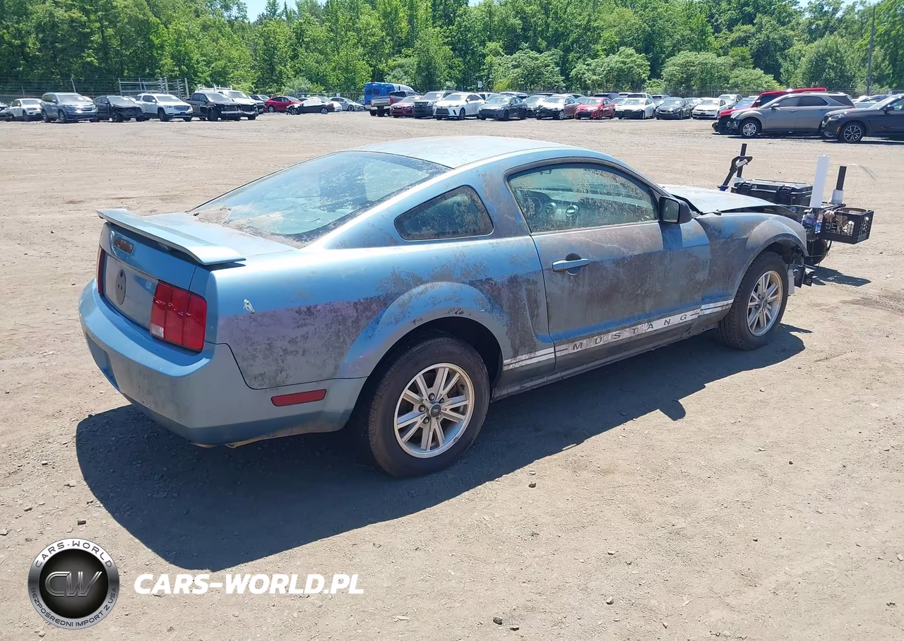 2006 Ford Mustang V6 VIN:1ZVHT80N265149166 - 4