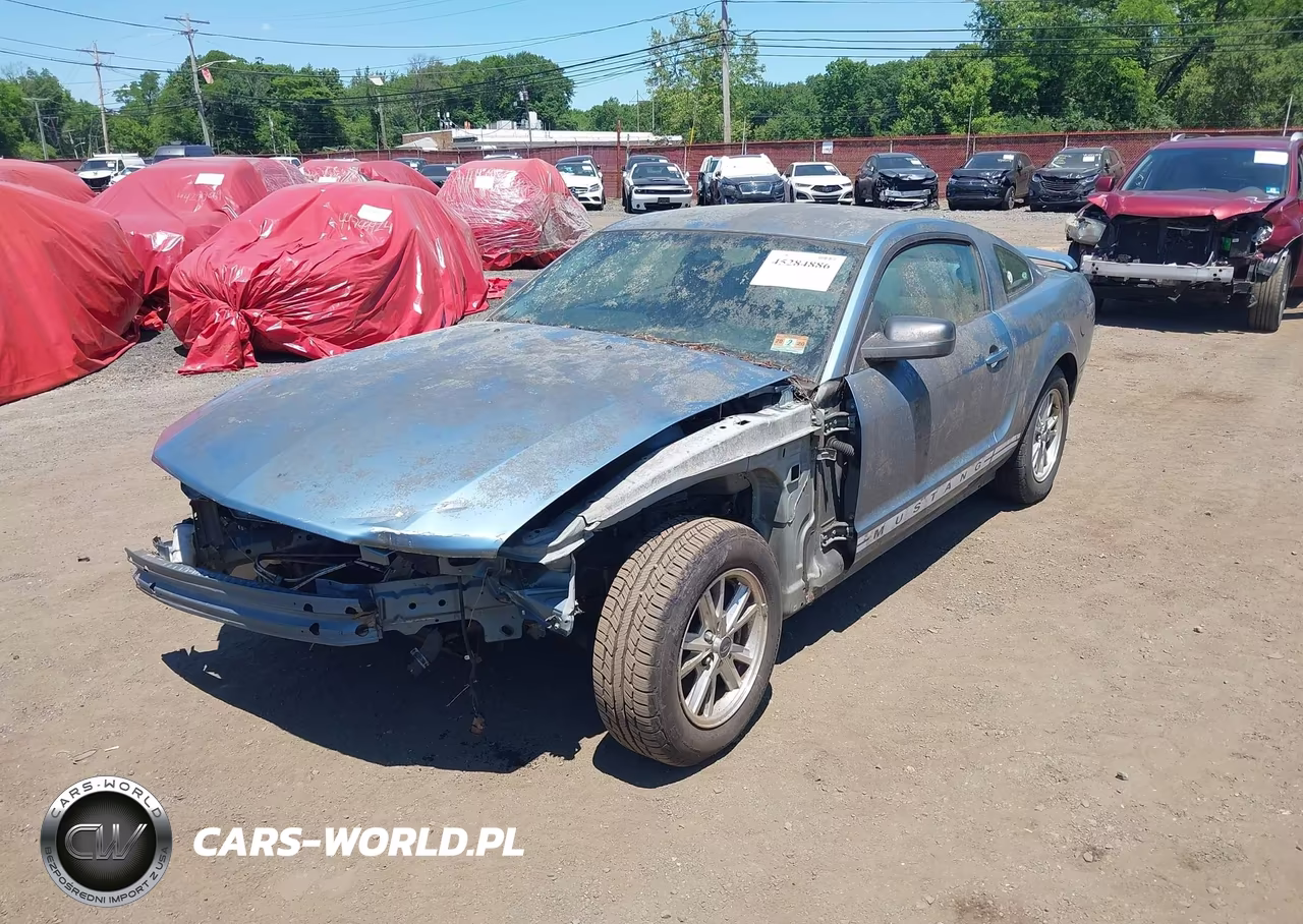 2006 Ford Mustang V6 VIN:1ZVHT80N265149166 - 6