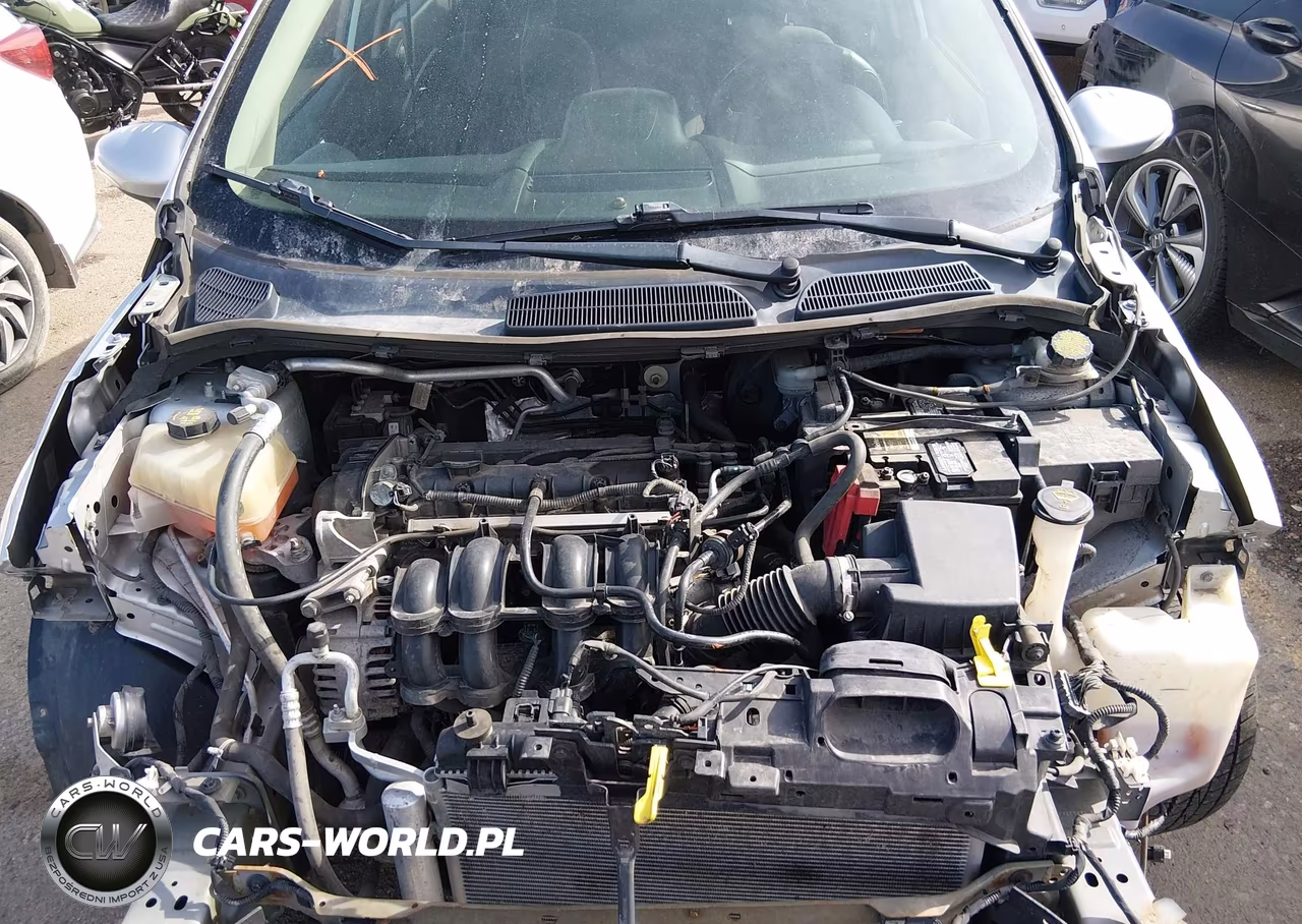 2014 Ford Fiesta Se VIN:3FADP4BJ9EM206356 - 10