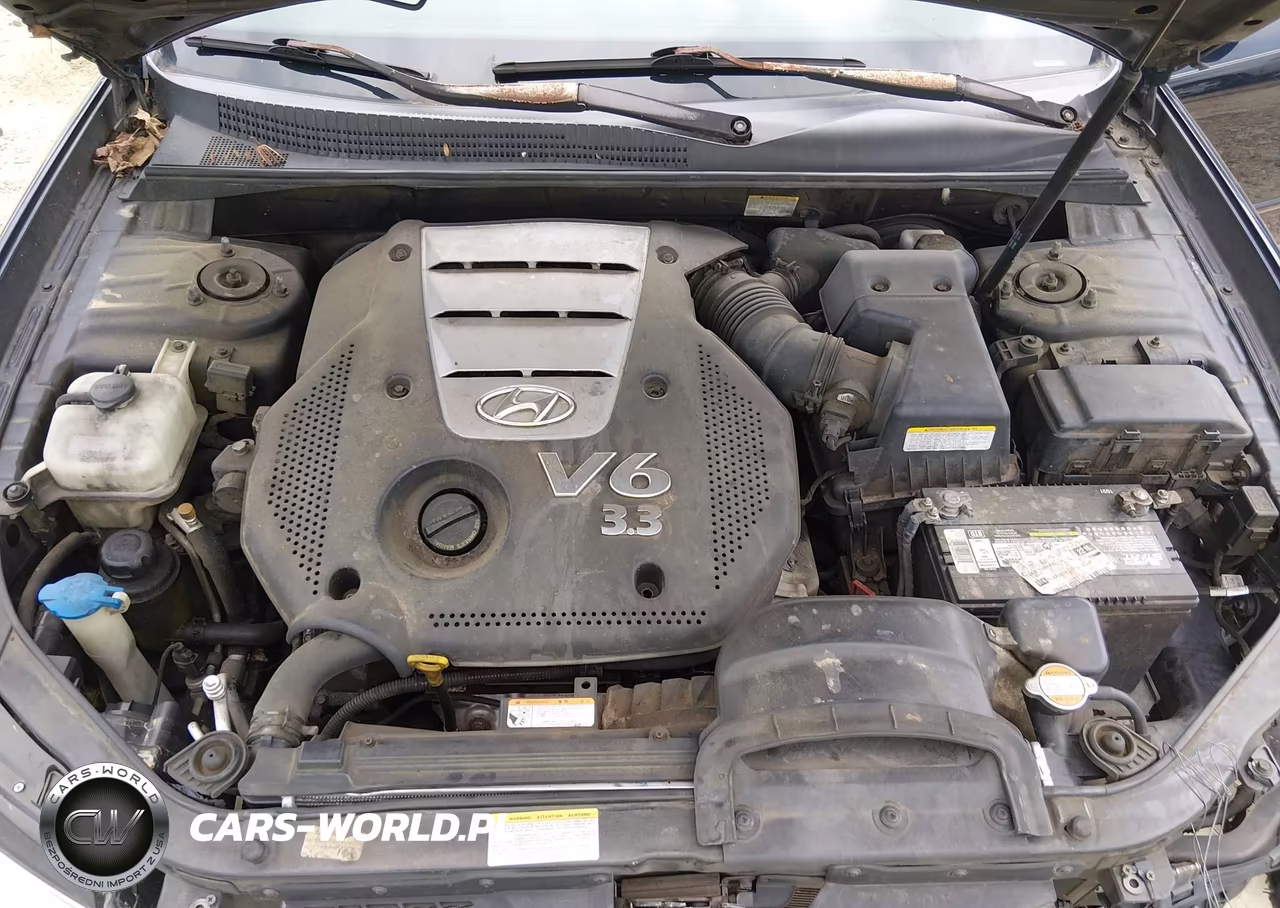 2007 Hyundai Sonata Limited-Se V6 VIN:5NPEU46F07H163032 - 10