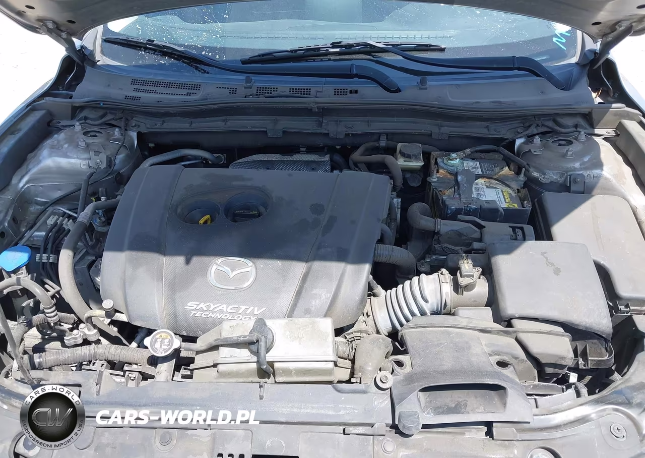 2016 Mazda Mazda3 I Sport VIN:3MZBM1U77GM251371 - 10