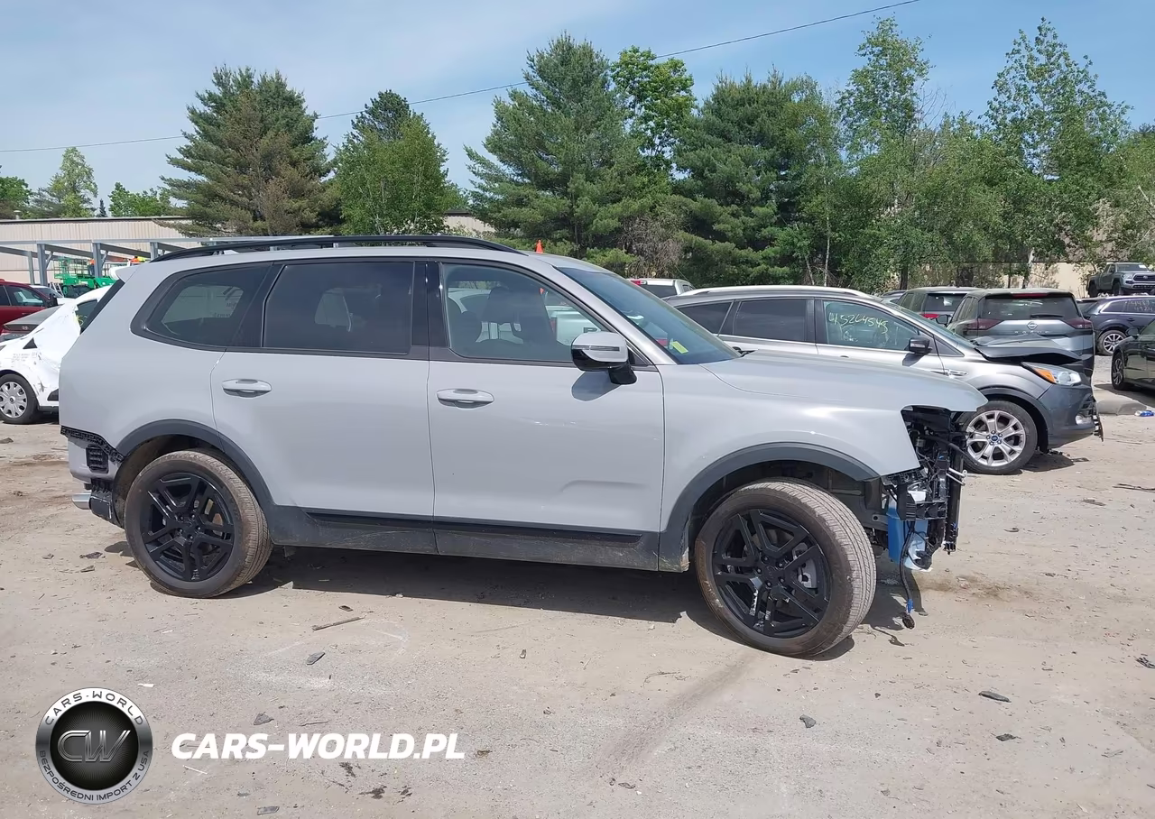 2025 Kia Telluride Sx Prestige X-Line VIN:5XYP5DGC9SG697303 - 12