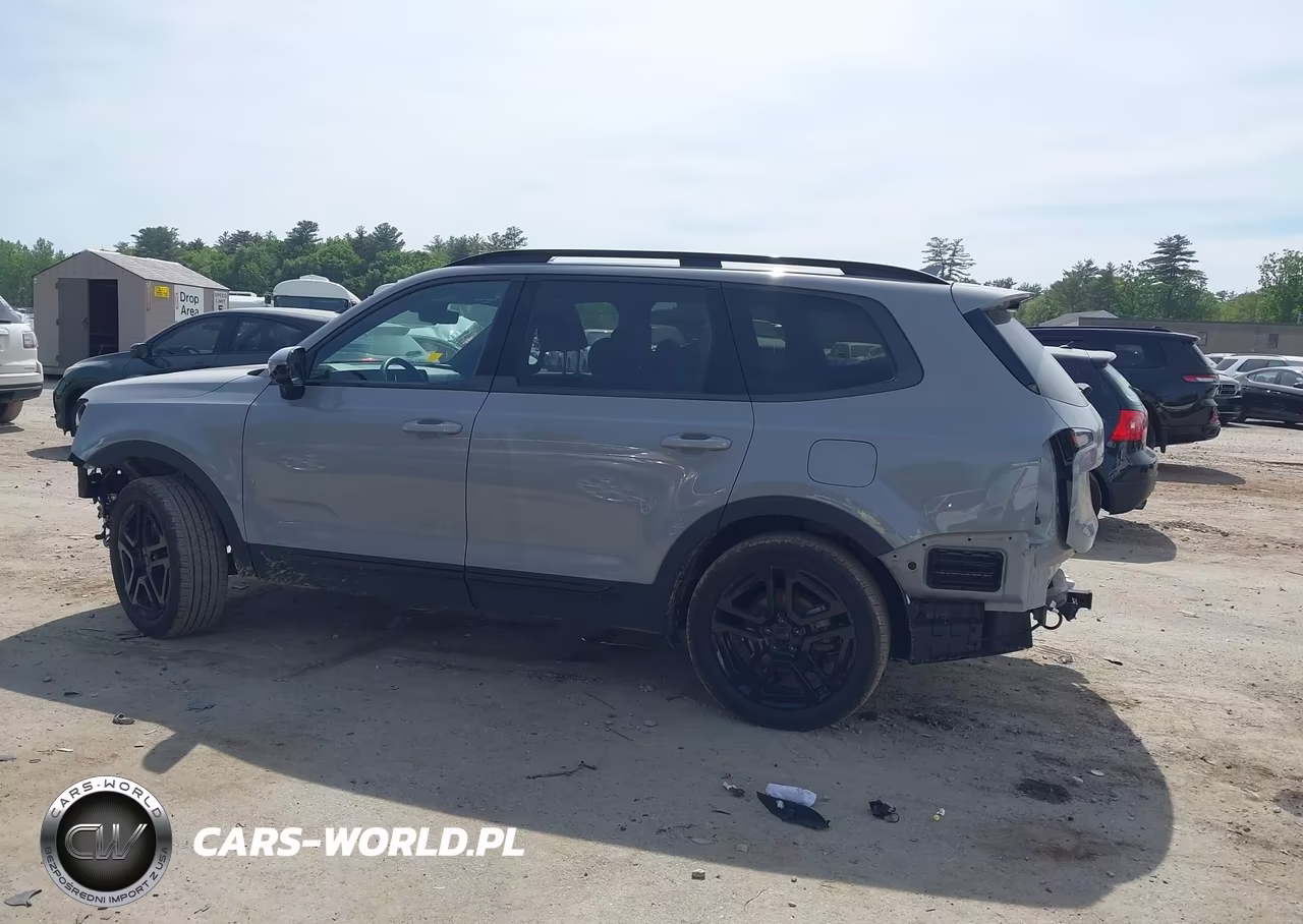 2025 Kia Telluride Sx Prestige X-Line VIN:5XYP5DGC9SG697303 - 13