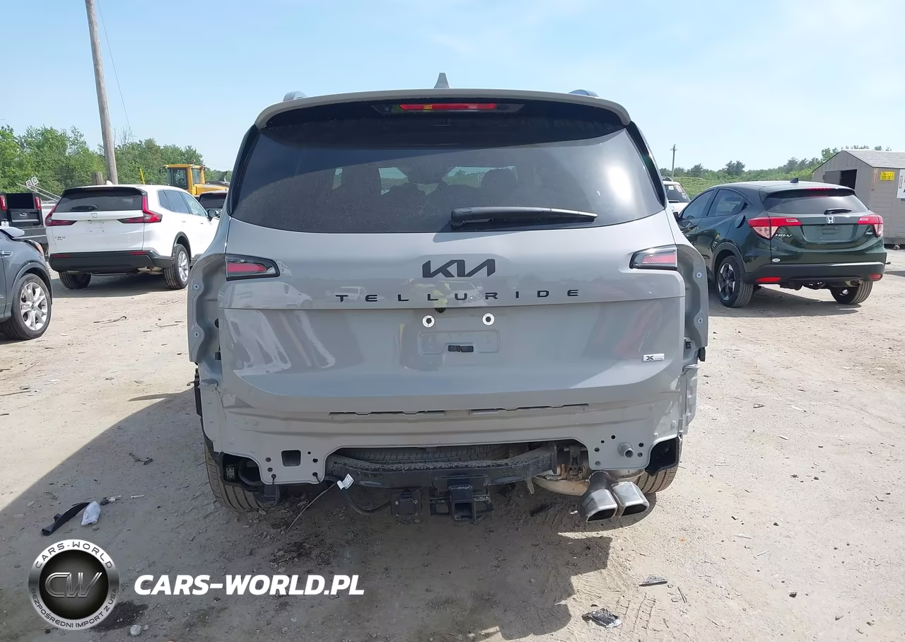 2025 Kia Telluride Sx Prestige X-Line VIN:5XYP5DGC9SG697303 - 15