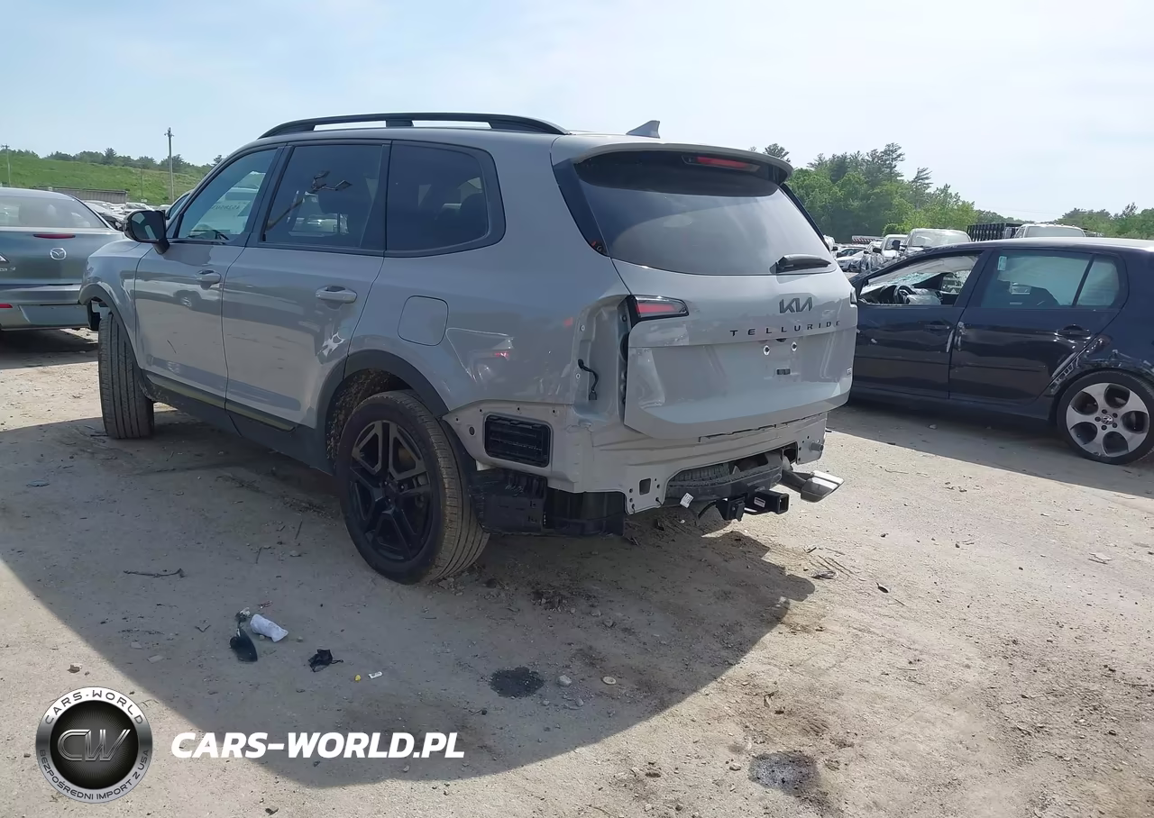 2025 Kia Telluride Sx Prestige X-Line VIN:5XYP5DGC9SG697303 - 2