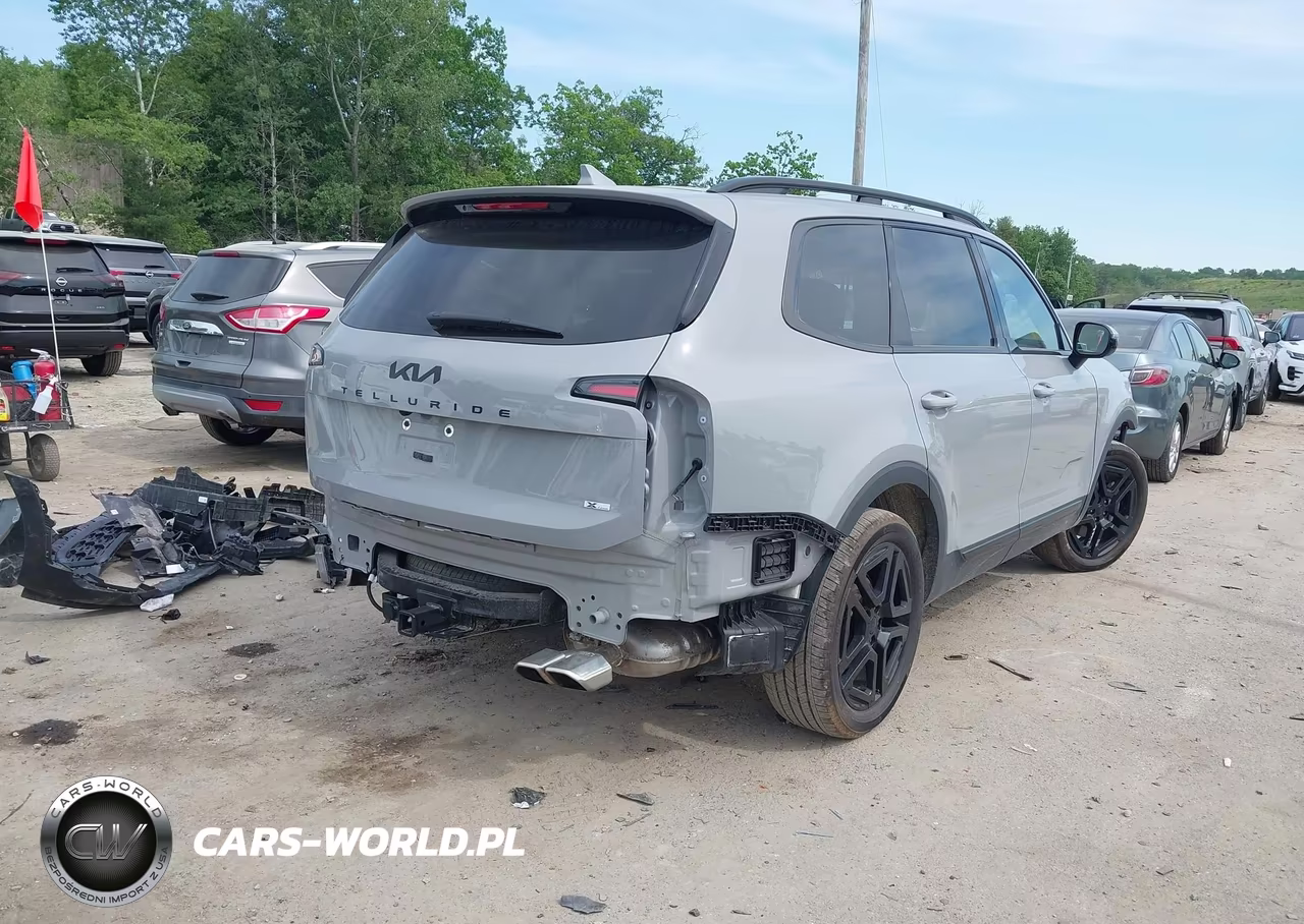 2025 Kia Telluride Sx Prestige X-Line VIN:5XYP5DGC9SG697303 - 3