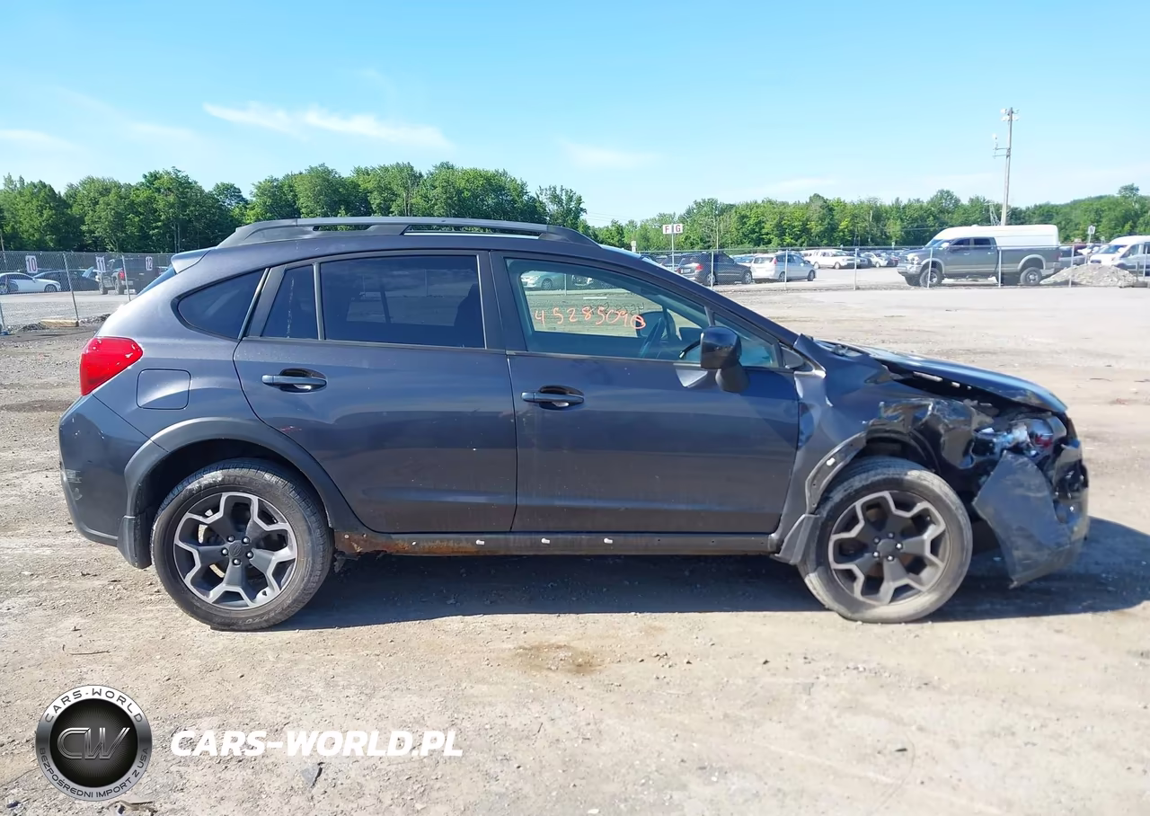 2014 Subaru Xv Crosstrek 2.0I Premium VIN:JF2GPAVC0E8285814 - 13