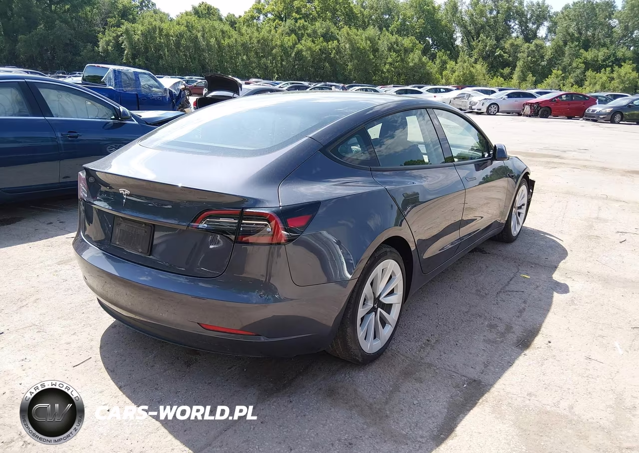 2023 Tesla Model 3 Rear-Wheel Drive VIN:5YJ3E1EAXPF648950 - 4