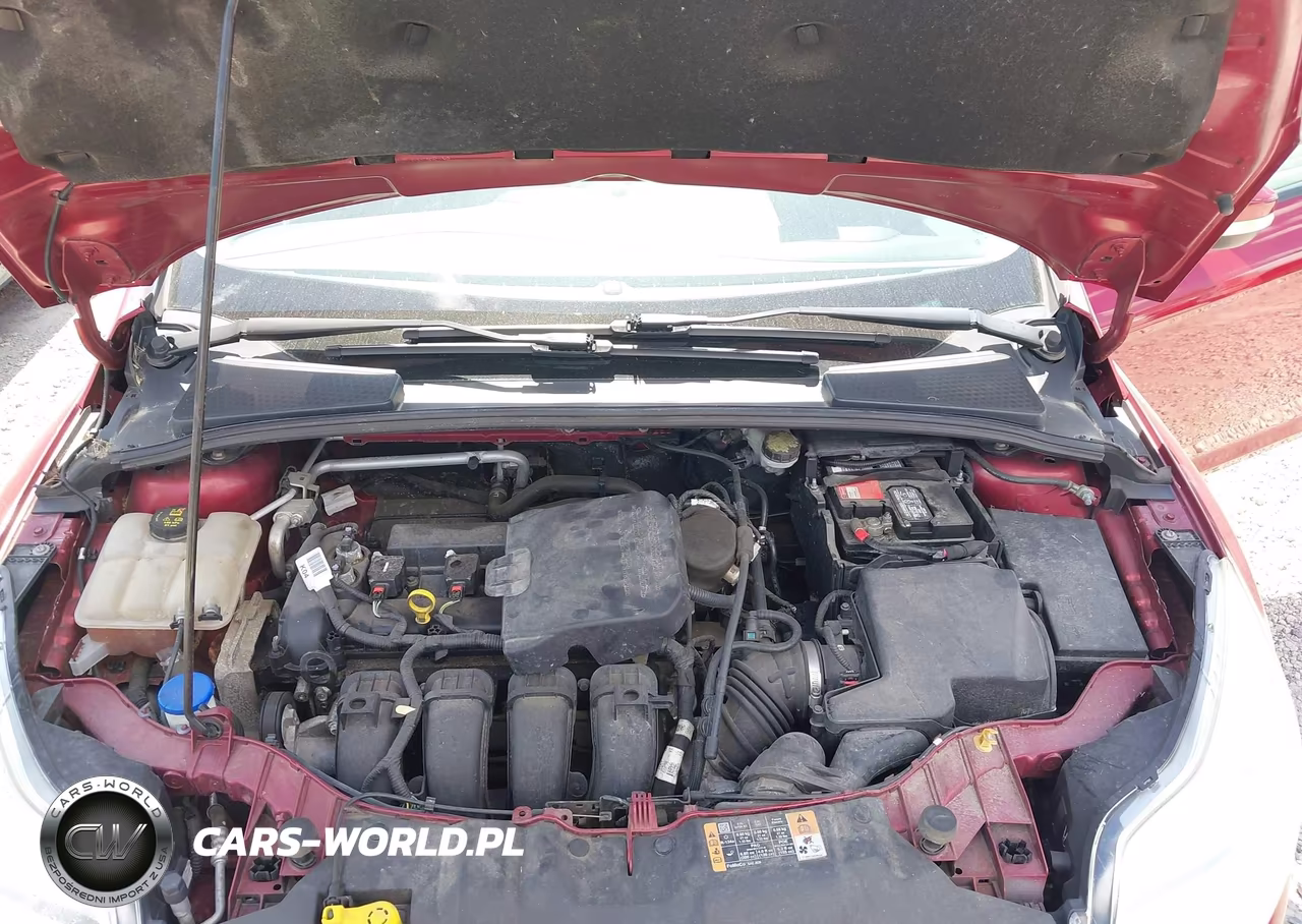 2014 Ford Focus Se VIN:1FADP3F28EL269866 - 10