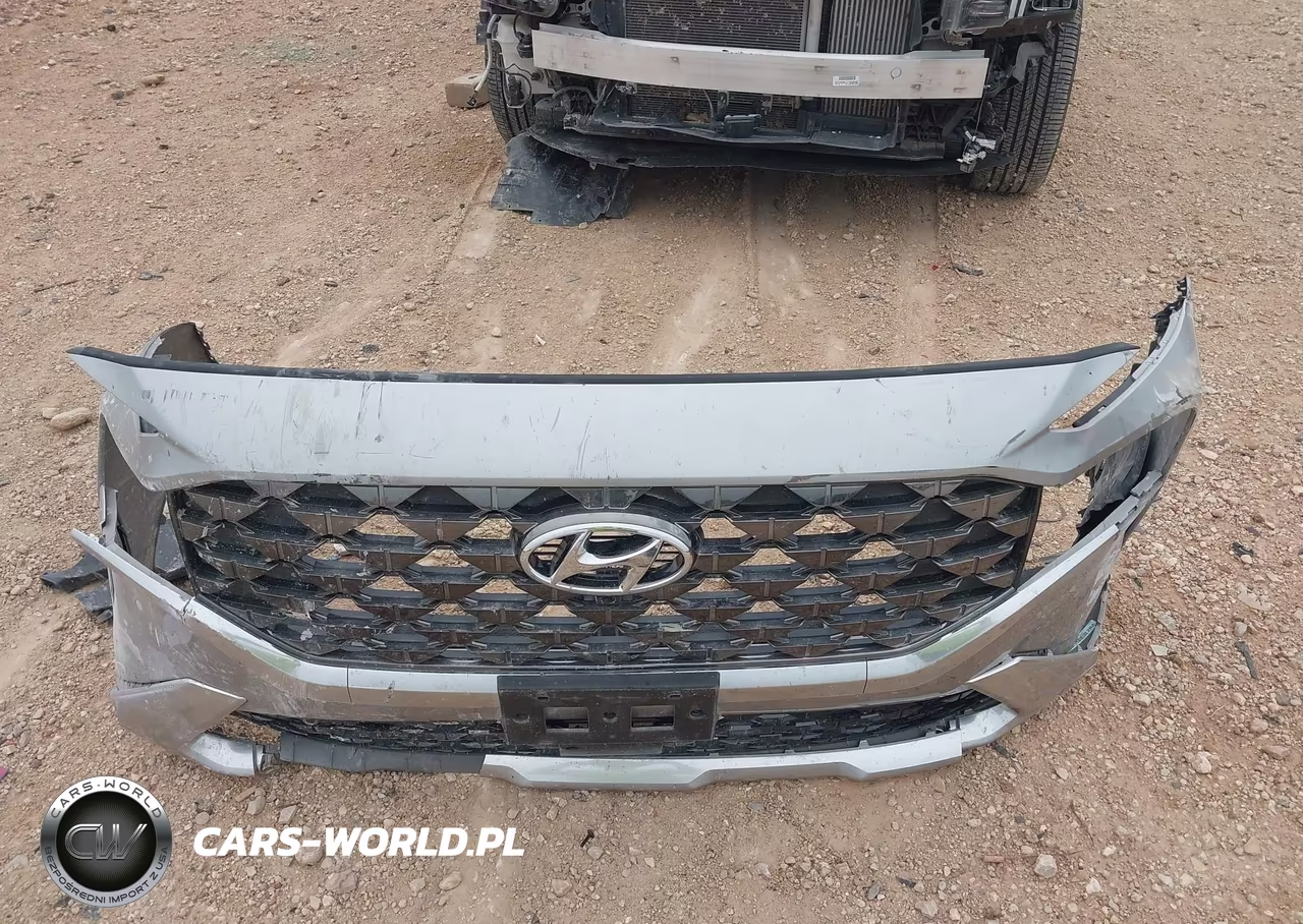 2022 Hyundai Santa Fe Calligraphy VIN:5NMS5DAL8NH460038 - 12