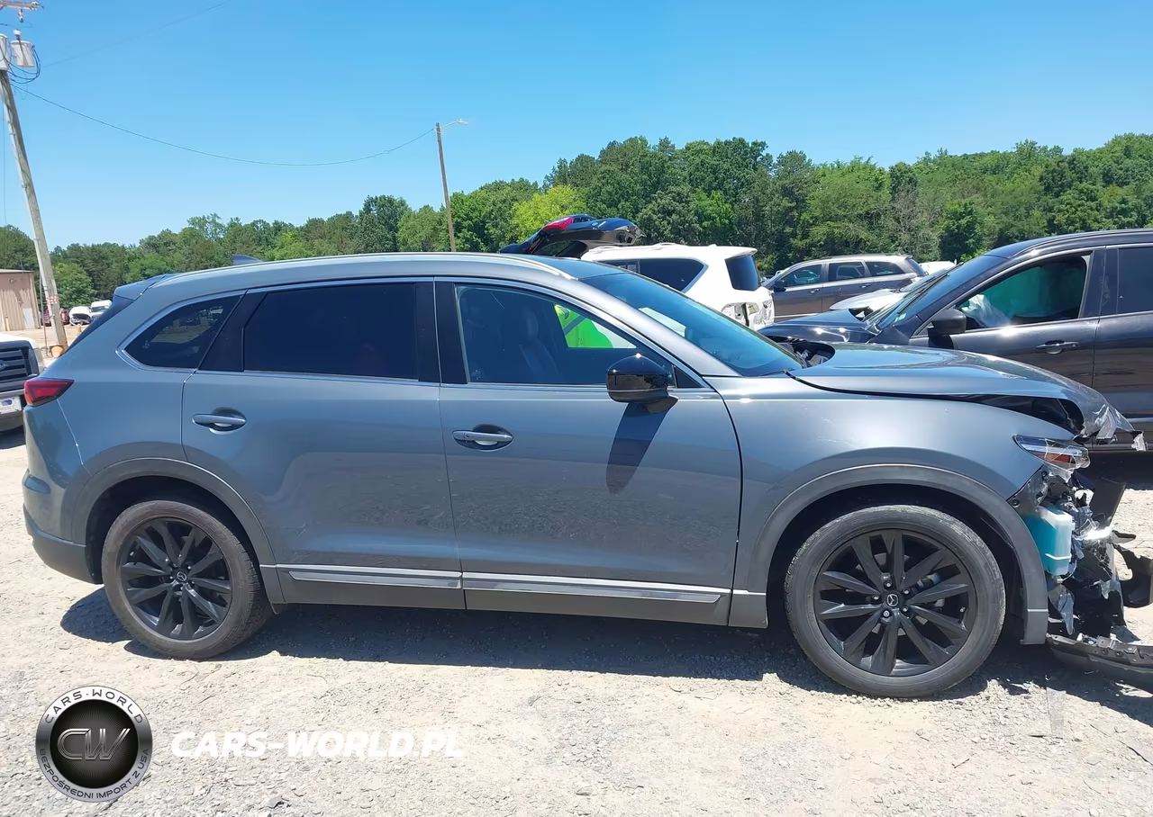 2021 Mazda Cx-9 Carbon Edition VIN:JM3TCADY5M0522579 - 13