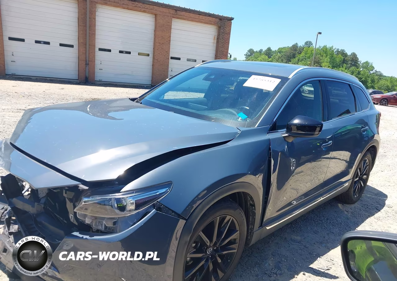 2021 Mazda Cx-9 Carbon Edition VIN:JM3TCADY5M0522579 - 14