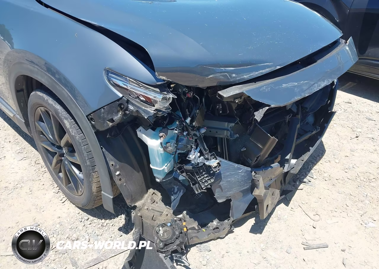 2021 Mazda Cx-9 Carbon Edition VIN:JM3TCADY5M0522579 - 6